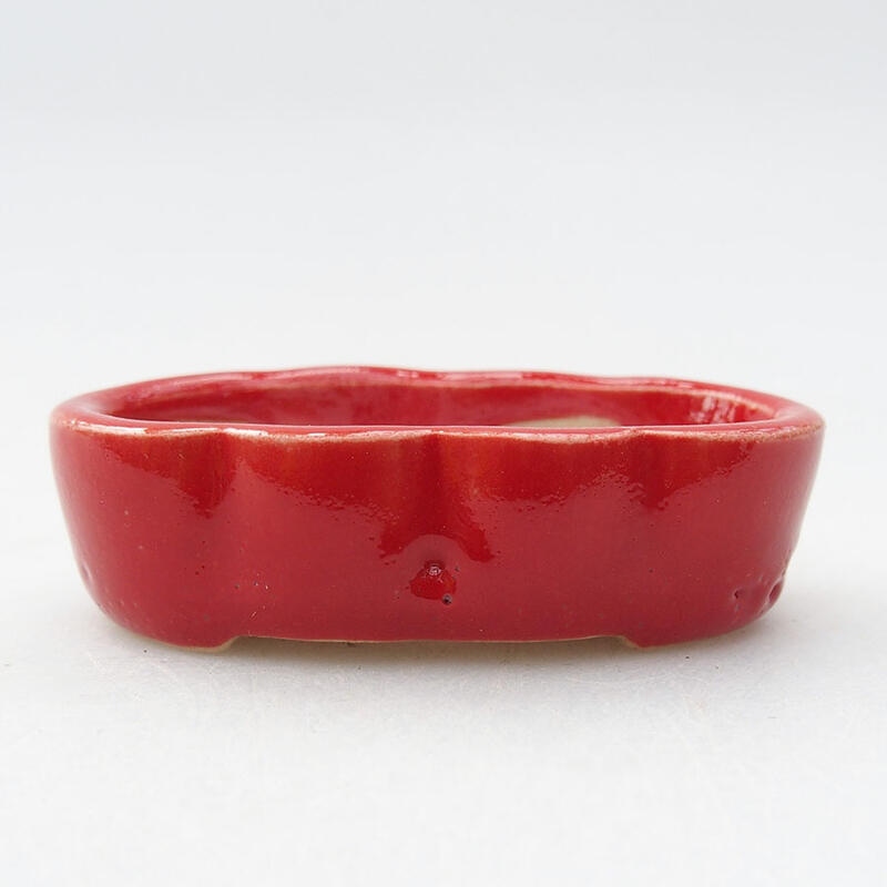 Mini bonsai bowl 5.5 x 3 x 2 cm, color red