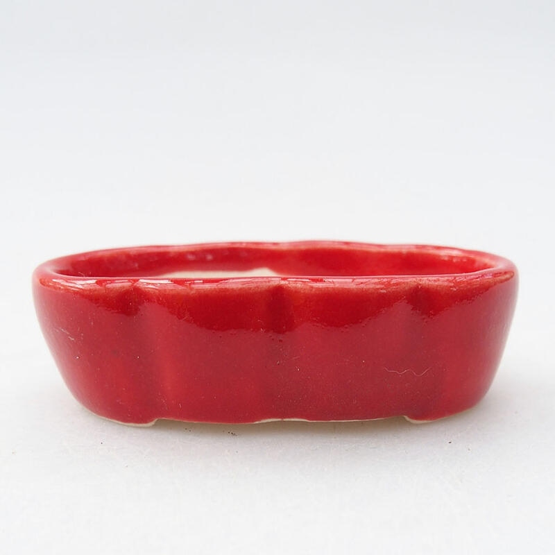 Mini bonsai bowl 5.5 x 3 x 2 cm, color red