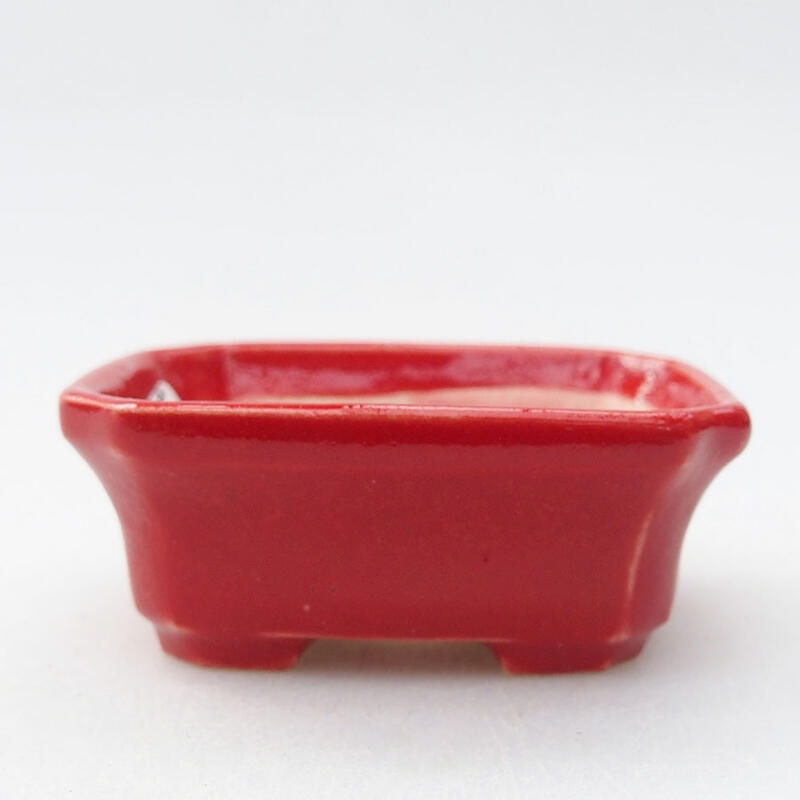 Mini bonsai bowl 5.5 x 4.5 x 2 cm, color red