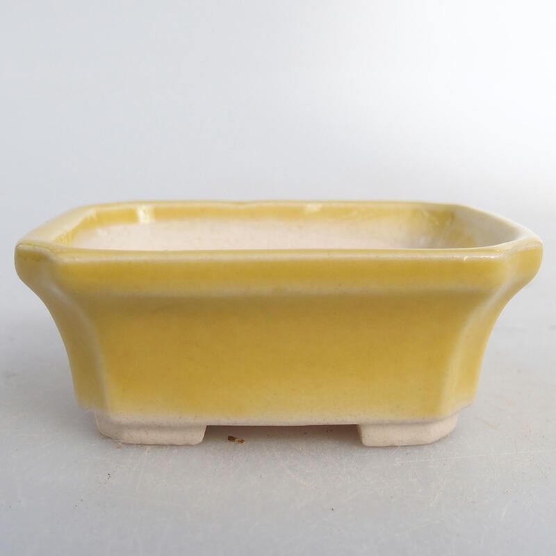 Mini bonsai bowl 5.5 x 4.5 x 2 cm, color yellow