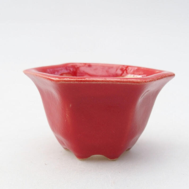 Mini bonsai bowl 5.5 x 4.5 x 3 cm, color red