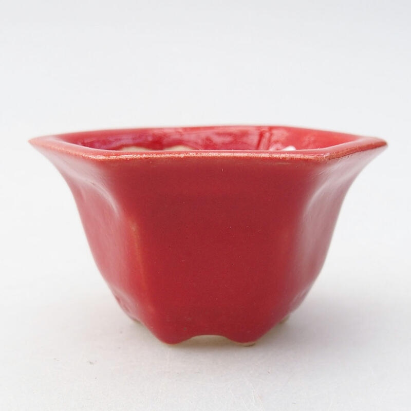 Mini bonsai bowl 5.5 x 4.5 x 3 cm, color red