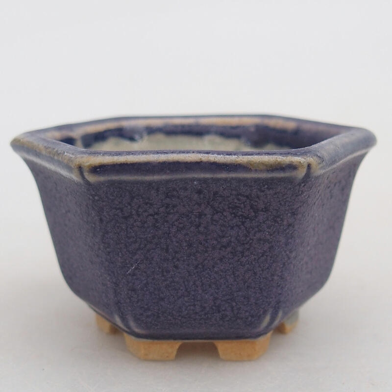 Mini bonsai bowl 5.5 x 4.5 x 3 cm, color purple