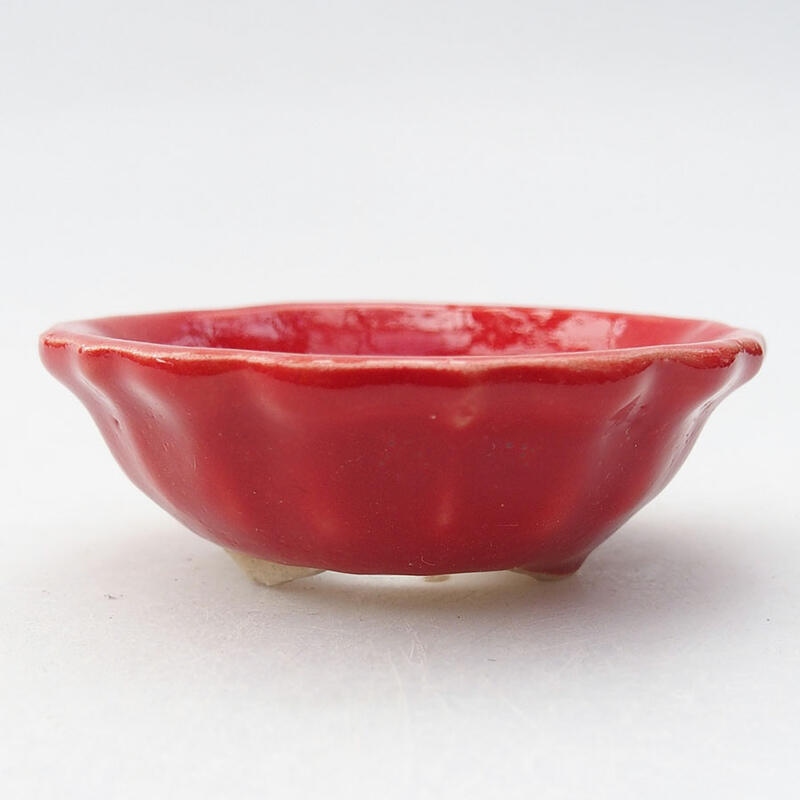 Mini bonsai bowl 5.5 x 5.5 x 2 cm, color red