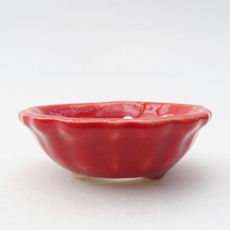 Mini bonsai bowl 5.5 x 5.5 x 2 cm, color red