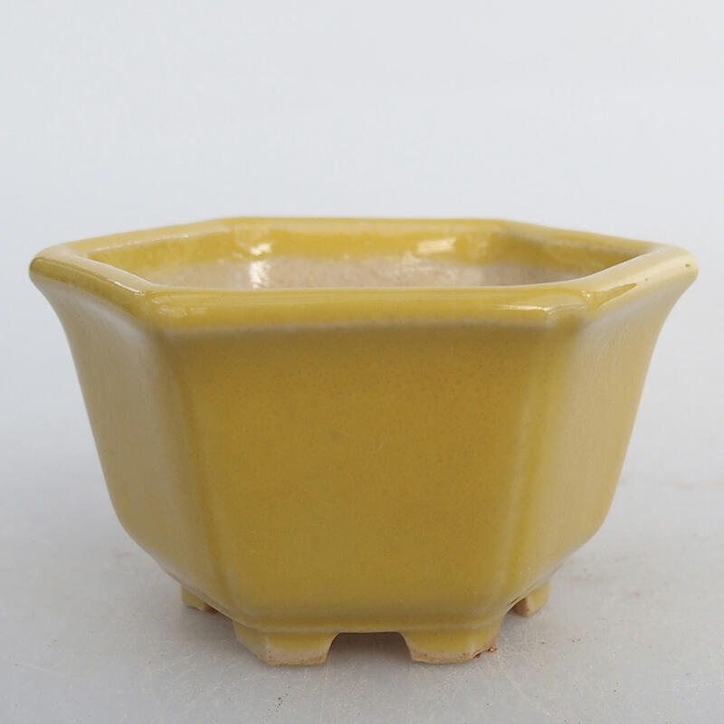 Mini bonsai bowl 5.5 x 5 x 3 cm, color yellow