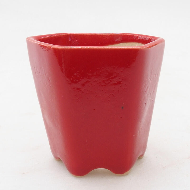 Mini bonsai bowl 5.5 x 5 x 5 cm, color red