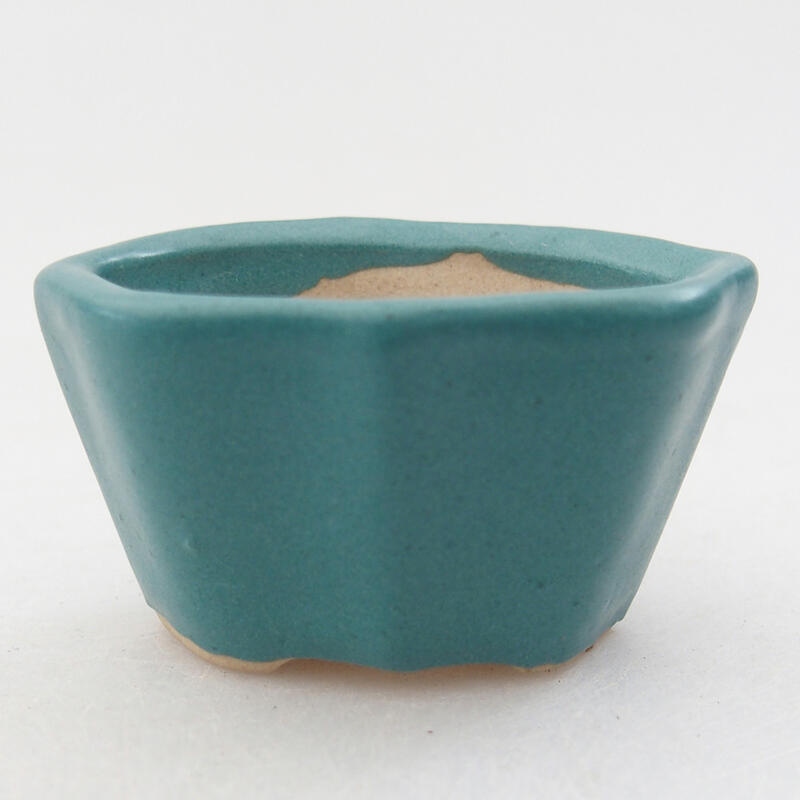 Mini bonsai bowl 5 x 3.5 x 3 cm, color blue