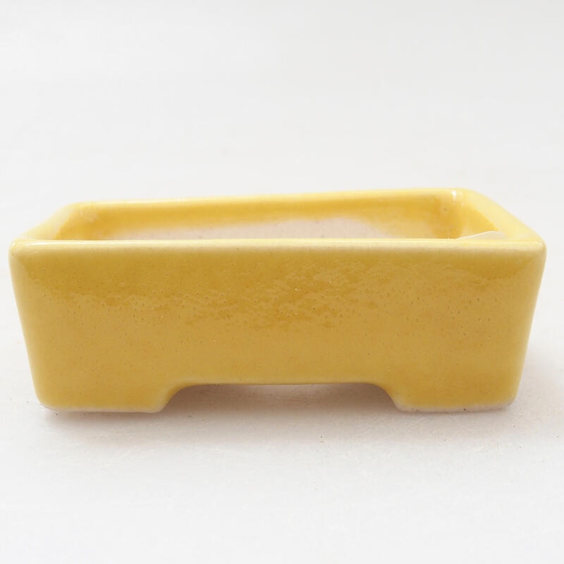 Mini bonsai bowl 5 x 3 x 2 cm, color yellow