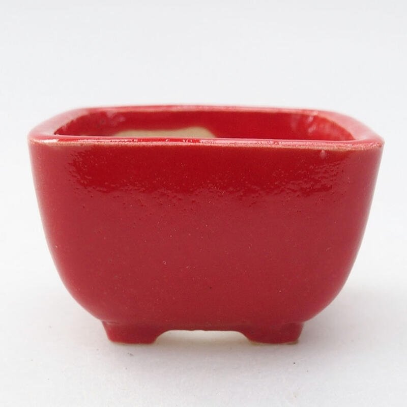 Mini bonsai bowl 5 x 5 x 3 cm, color red