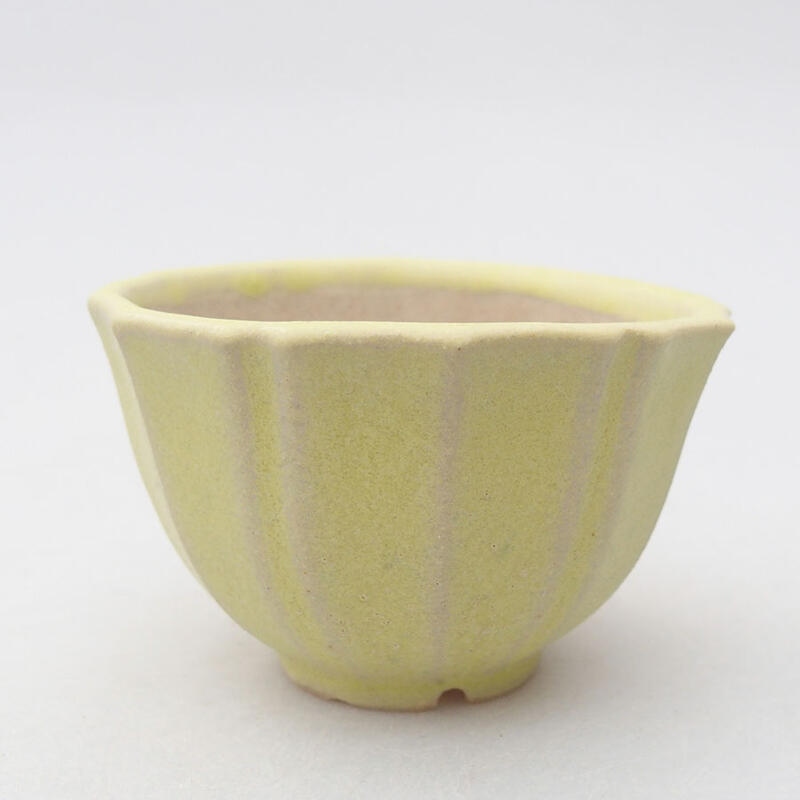 Mini bonsai bowl 5 x 5 x 3 cm, color yellow