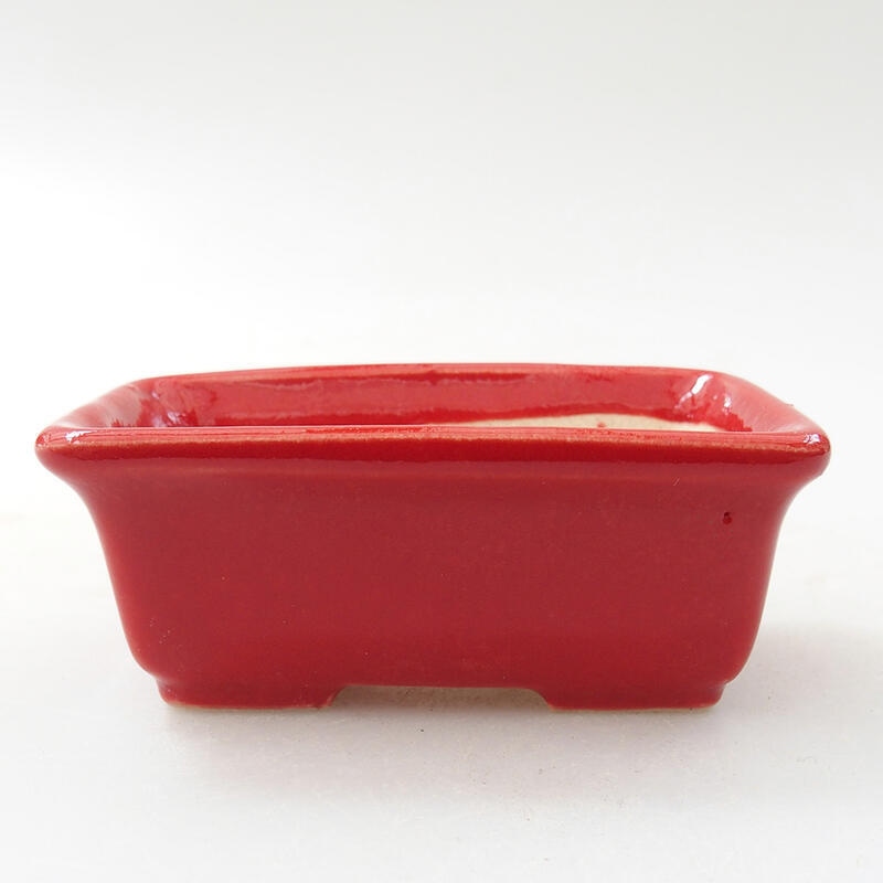 Mini bonsai bowl 6.5 x 4 x 2.5 cm, color red