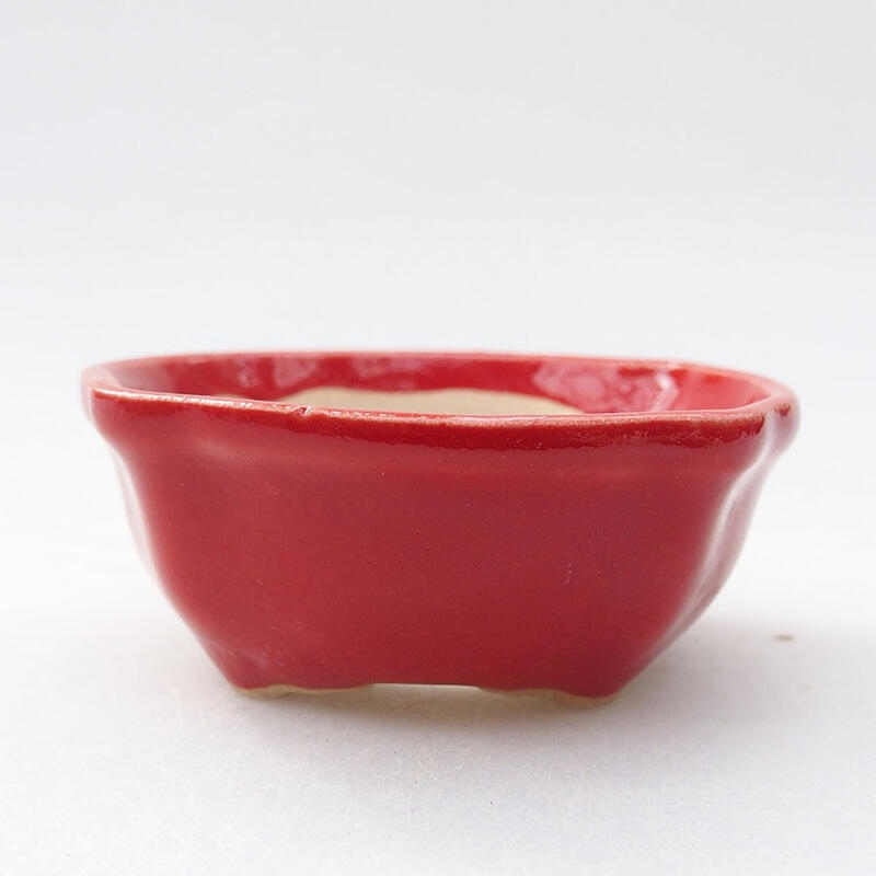 Mini bonsai bowl 6.5 x 6.5 x 2.5 cm, color red