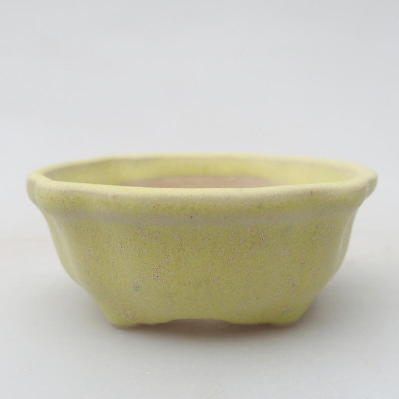 Mini bonsai bowl 6.5 x 6.5 x 2.5 cm, color green