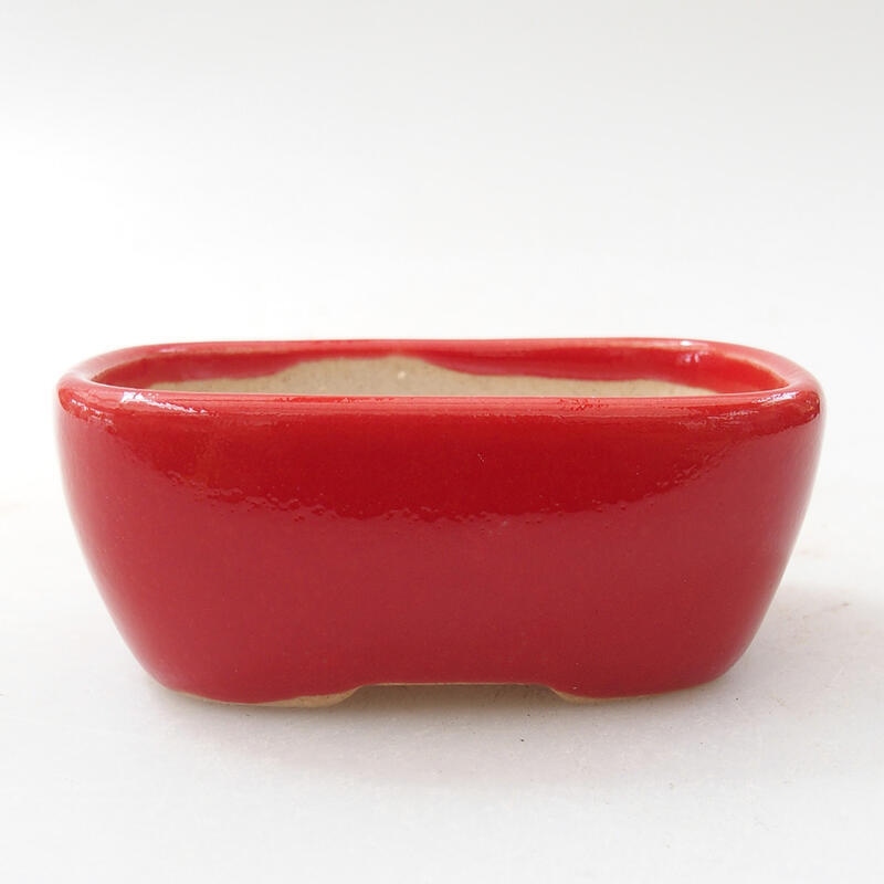 Mini bonsai bowl 6 x 4.5 x 2.5 cm, color red