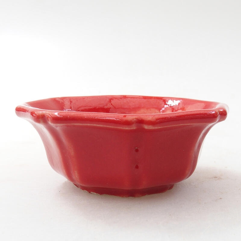 Mini bonsai bowl 6 x 6 x 2.5 cm, color red