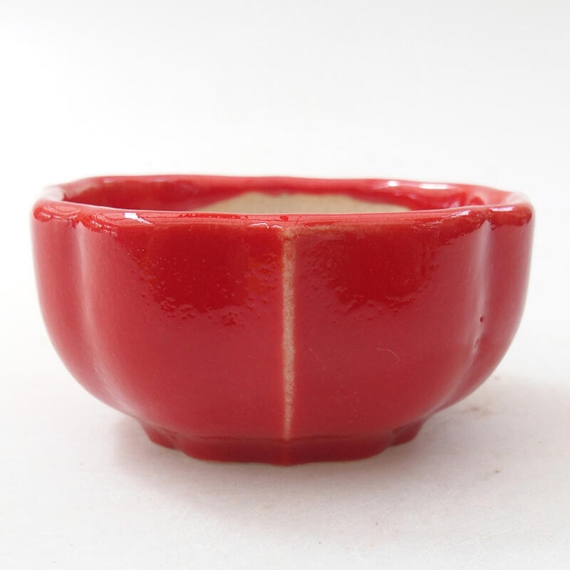 Mini bonsai bowl 6 x 6 x 3 cm, color red