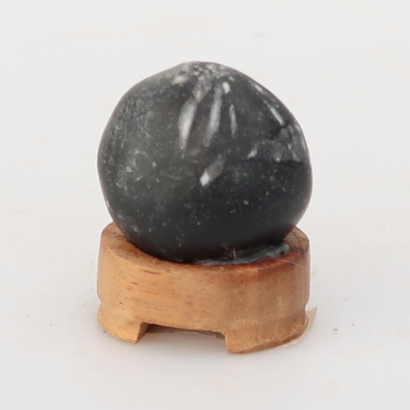 Suiseki - Stone with DAI (wooden pad)