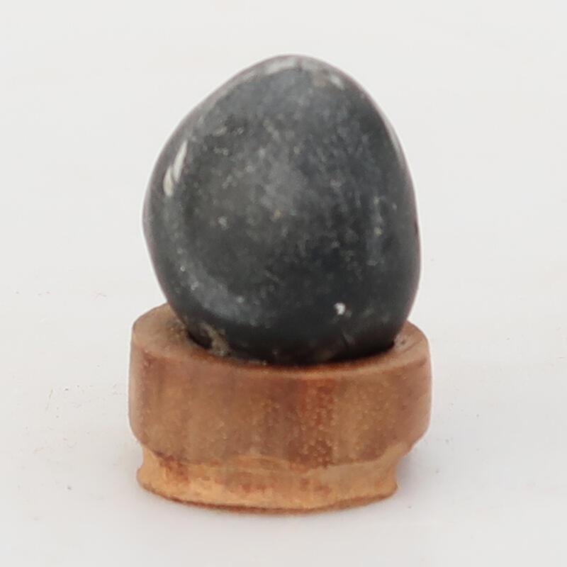 Suiseki - Stone with DAI (wooden pad)