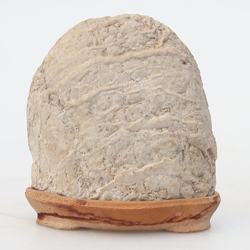 Suiseki - Stone with DAI (wooden pad)