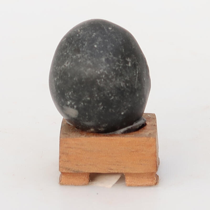 Suiseki - Stone with DAI (wooden pad)