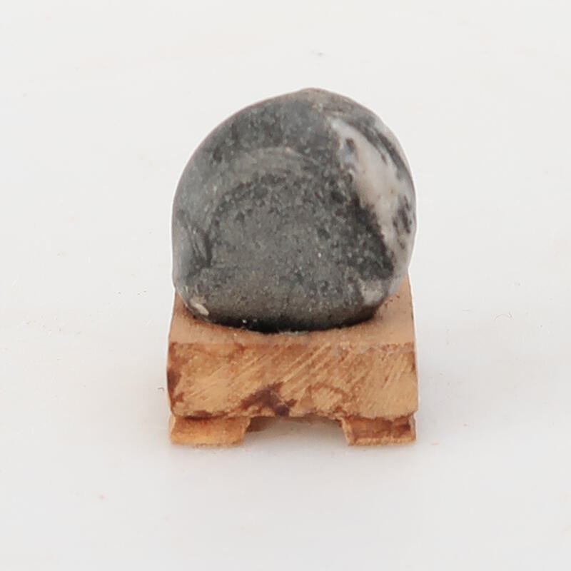 Suiseki - Stone with DAI (wooden pad)