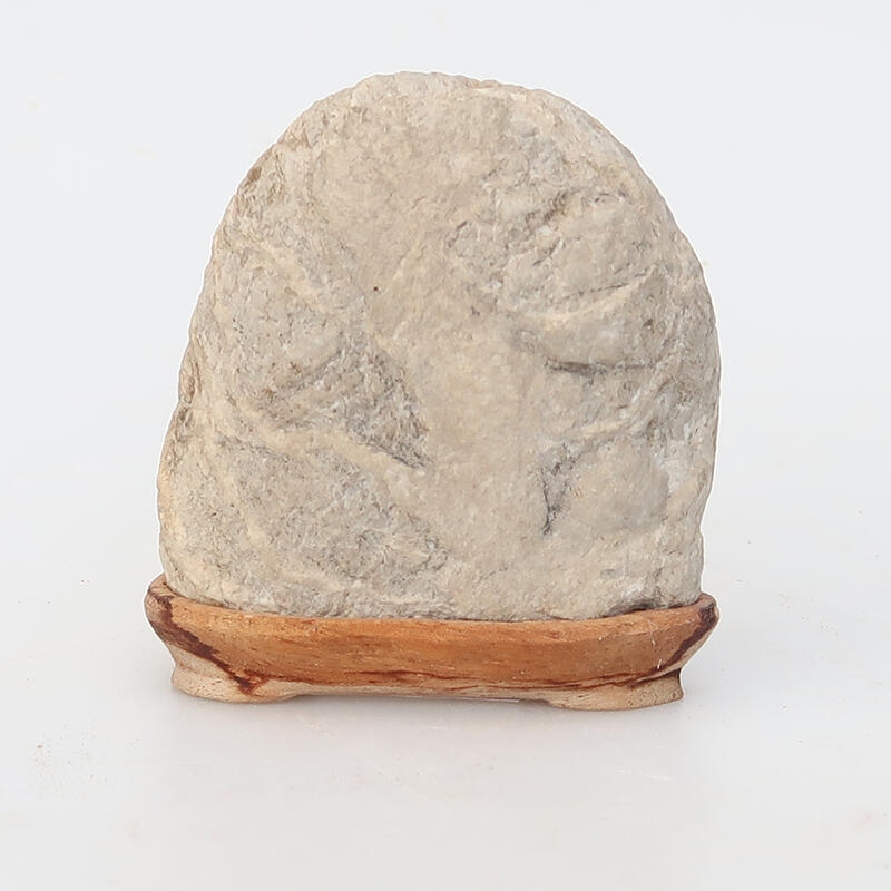 Suiseki - Stone with DAI (wooden pad)