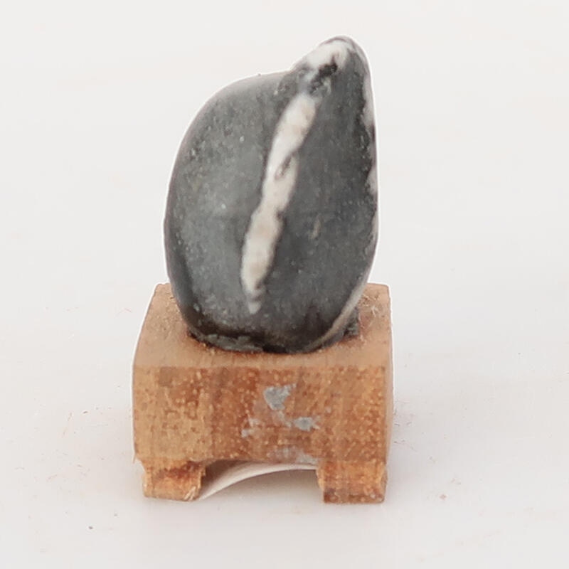 Suiseki - Stone with DAI (wooden pad)