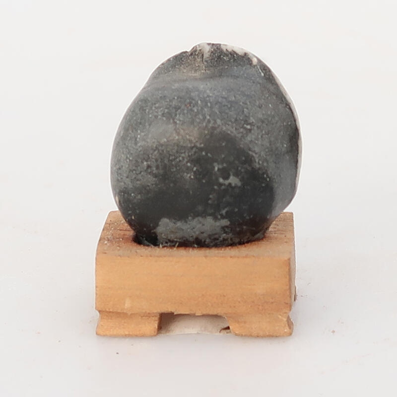 Suiseki - Stone with DAI (wooden pad)