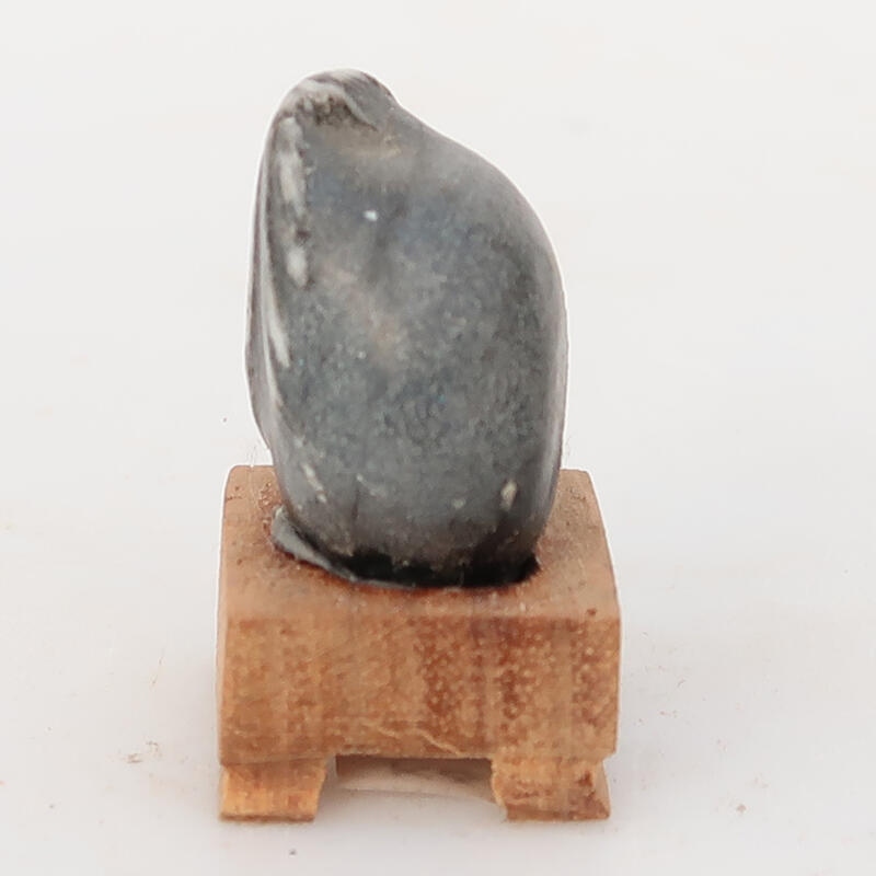 Suiseki - Stone with DAI (wooden pad)